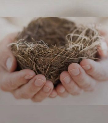 nest nest